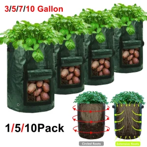 Potato Planting Grow Bag